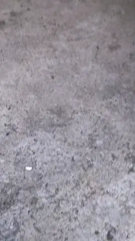 Sound keramat pcx pink😻#savering17 #vario125 #foryoupage #fyp #varionistyindonesia 