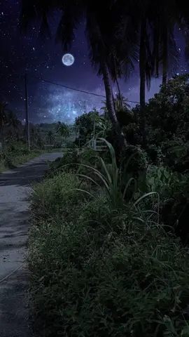 #vibes #moon #nightvibes #nature #scenery 