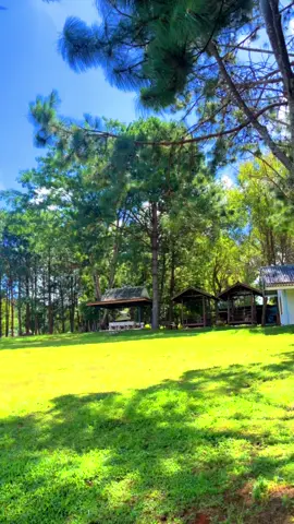 🌤️⛰️🥰💖 #ผาพบรัก #ภูหินร่องกล้า #นครไทยพิษณุโลก #นครไทย 