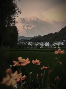 lựa chọn của em #CapCut #buitruonglinh