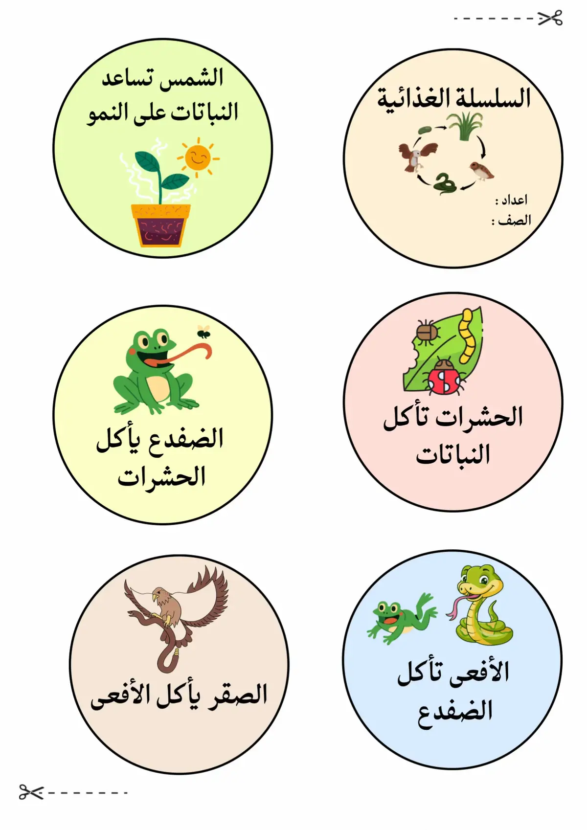 #السلسلة_الغذائيه_علوم #السلسلة_الغذائية_ثاني_ابتدائي #السلسلة_الغذائية_اولى_ابتدائي #السلسلة_الغذائية_الصف_الثالث #مطوية_السلسلة_الغذائيه #مطوية_السلاسل_والشبكات_الغذائية #السلاسل_الغذائية #السلسله_الغذائيه #السلسلة_الغذائيه_علوم السلسلةالغذائيه علوم ثاني ثالث رابع اولى 