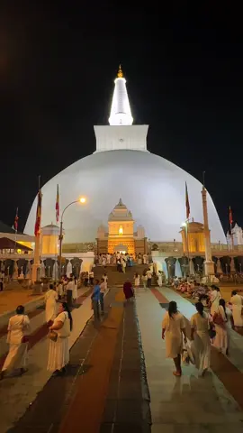 මේ වගේ හිත නිවන තැනක් වෙන කොහෙද 🥹🌸🙏 රුවන්වැලිමහා සෑය 🙏✨ #ruwanweliseya❤️☸️🙏 #ruwanweliseya #රුවන්වැලිමහාසෑය #srilanka #buddhist 