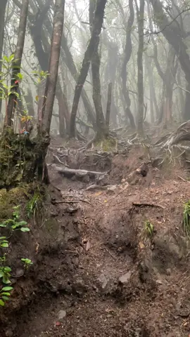 Bahan prenk lagi nic.  Lagi ngtrek di gunung gede via putri.   Pos berapa hayo ? 😂