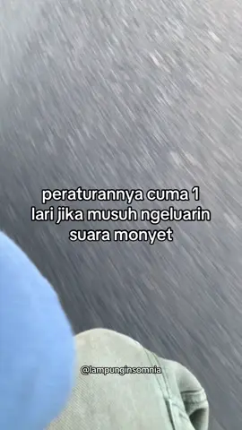 #lampung04insomnia #teratai04insomnia 