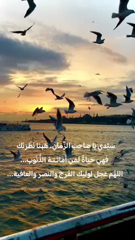 ✨يوم الجمعة✨ وهو يوم صاحب الزّمان (صلوات الله عليه) و باسمه وهو اليوم الذي يظهر فيه (عجّل الله فرجه) ، فقل في زيارته: السَّلامُ عَلَيكَ يا حُجَّةَ الله في أرضِهِ، السَّلامُ عَلَيكَ يا عَينَ الله في خَلقِهِ، السَّلامُ عَلَيكَ يا نورَ الله الَّذي يَهتَدي بِهِ المُهتَدونَ ويُفَرَّجُ بِهِ عَنِ المُؤمِنينَ، السَّلامُ عَلَيكَ أيُّها المُهَذَّبُ الخائِفُ، السَّلامُ عَلَيكَ أيُّها الوَليُّ النّاصِحُ، السَّلامُ عَلَيكَ يا سَفينَةَ النَّجاةِ، السَّلامُ عَلَيكَ يا عَينَ الحياةِ، السَّلامُ عَلَيكَ صَلّى اللهُ عَلَيكَ وَعَلى آلِ بَيتِكَ الطَّيِّبينَ الطَّاهِرينَ، السَّلامُ عَلَيكَ، عَجَّلَ الله لَكَ ما وَعَدَكَ مِنَ النَّصرِ وَظُهورِ الأمرِ ، السَّلامُ عَلَيكَ يا مَولايَ أنا مَولاكَ عَارِفٌ بِأُولاكَ واُخراكَ. أتَقَرَّبُ إلى اللهِ تَعالى بِكَ وَبِآلِ بَيتِكَ، وَأنتَظِرُ ظُهورَكَ وَظُهورَ الحَقِّ عَلى يَدَيكَ، وَأسألُ الله أن يصلّي عَلى مُحَمَّدٍ وَآلِ مُحَمَّدٍ، وَأن يَجعَلَني مِنَ المُنتَظِرينَ لَكَ وَالتَّابِعينَ وَالنَّاصِرينَ لَكَ عَلى أعدائِكَ، وَالمُستَشهَدينَ بَينَ يَدَيكَ في جُملَةِ أوليائِكَ ، يا مَولايَ يا صاحِبَ الزَّمانِ، صَلَواتُ الله عَلَيكَ وَعَلى آلِ بَيتِكَ، هذا يَومُ الجُمُعَةِ وَهُوَ يَومُكَ المُتَوَقَّعُ فيهِ ظُهورُكَ، وَالفَرَجُ فيهِ لِلمُؤمِنينَ عَلى يَدَيكَ، وَقَتلُ الكافِرينَ بِسَيفِكَ، وَأنا يا مَولايَ فيهِ ضَيفُكَ وَجارُكَ، وَأنتَ يا مَولايَ كَريمٌ مِن أولادِ الكِرامِ وَمَأمورٌ بِالضيافَةِ وَالإجارَةِ فَأضِفني وَأجِرني صَلَواتُ الله عَلَيكَ وعَلى أهلِ بَيتِكَ الطَّاهِرينَ. قال السيّد ابن طاووس: وأنا اتمثّل بعد هذه الزيارة بهذا الشعر واُشير إليه A وأقول: نزيلك حيث ما اتّجهتْ ركابي *** وضيفك حيث كنت من البلاد