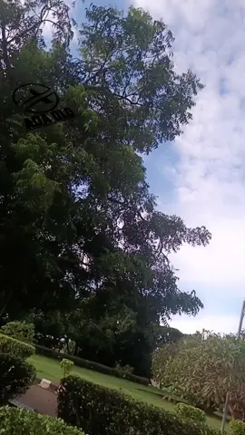 As a woman the peace of your family is in your arms 💯💯 #viralvideos  #relationshipadvice #viralpage 