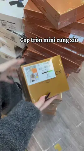 Chiếc túi đựng vừa số 💰 tôi có #tuixach #xuhuong #viralvideo 