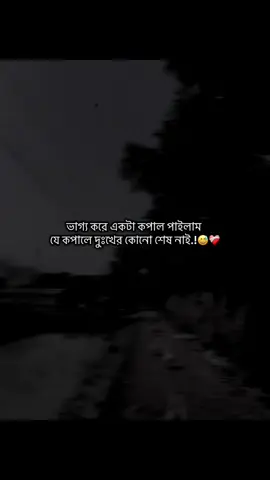 ভাগ‍্য করে একটা কপাল পাইলাম  যে কপালে দুঃখের কোনো শেষ নাই.!😅❤️‍🩹