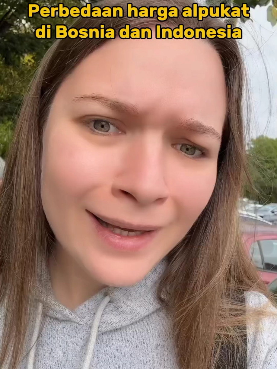 Beginilah perbedaan harga Buah alpukat di Bosnia dan Indonesia. #bule #viral #fyp #foryou #foryoupage 