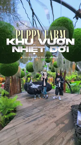 Chìm đắm giữa không gian xanh mát của Khu Vườn Nhiệt Đới - ngay giữa lòng Nông Trại Cún Puppy Farm nhé cả nhà yêu ơii 🥰 #Puppyfarm #khuvuonnhietdoi #Nongtraicun #TruotPhaoKho #gokart 