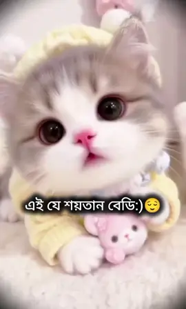 #@MY LOVE ❤️M❤️ #