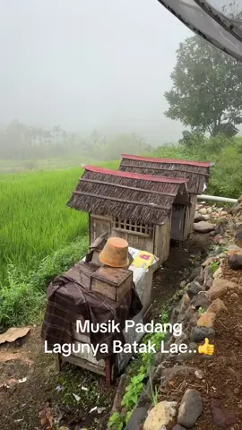 Musik padang lae