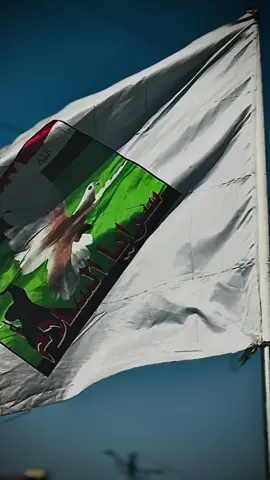 #سرايا_السلام_لَوٌآء_315_314_313_ #سرايا_السلام_حماة_الوطن🇮🇶🇮🇶 #مقتدى_الصدرأعزه_الله #تحسين_الحميداوي_ابومصطفى #تيار_الصدري_عائلتي_الكبير 