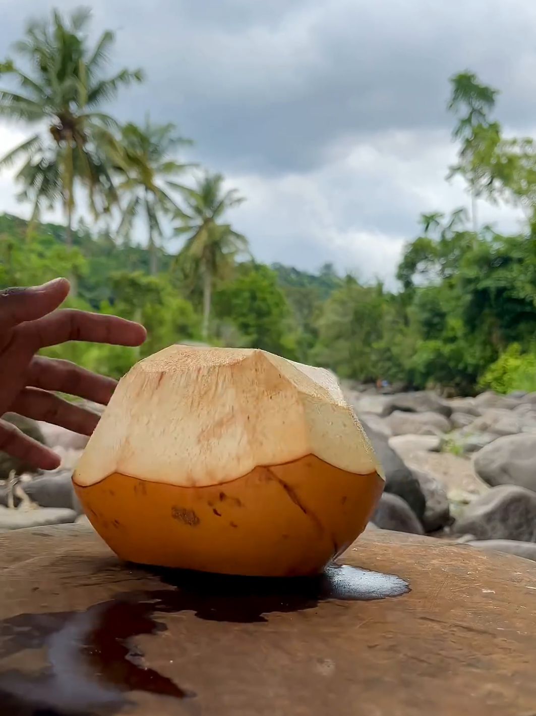 This coconut was so Satisfy | Totally worth it in the end! #fruit #coconut 