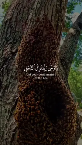 #ئەکتیڤبن🔥 #صەڵاوات_لەدیدارت_پێغەمبەری_خۆشەویست #اللهم_صلي_على_نبينا_محمد #foryou #الله @♫♪♩·.¸¸.·♪♫𝓢𝓐𝓝𝓐♫♪·.¸¸.·♩♪♫ 