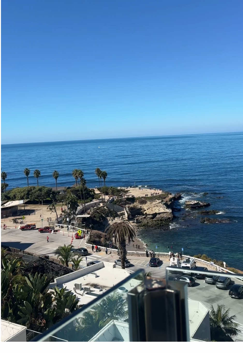 you’ve been waiting #wlw 