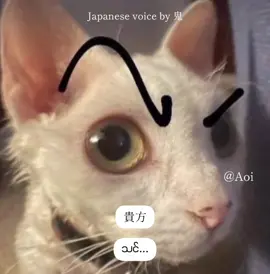 စာမေးပွဲရှိတယ်မလားရှိရဲ့သားနဲ့စာမလုပ်ဘူးပေါ့🫵🏻 Voice by Aoi Edited by Yumeko  Translated by Yumeko  Script crd #japanesevoiceby鬼 #japanese #japanesevoiceacting #fypage 