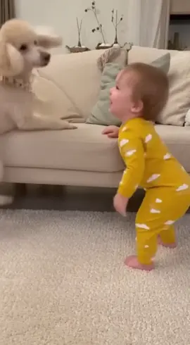 #cutebaby #funnytoddler #dog 