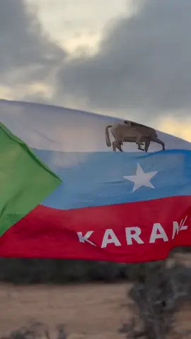 Karanle kibirjabshe ❤️🦁#murusadenimo🐎🇵🇷 #somalitiktok #foryou @🕺modelman2030👉🏾🤘🏾🇸🇴🇵🇷 @Maserleyy 🫅🏻🇸🇴 @ŇǍŇǍǏ:♾️🇧🇷 #CapCut 