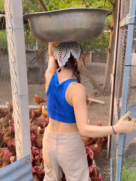 พามาให้อาหารน้องไก่แสนซนกันค่ะ #น้องมดไก่ไข่อารมณ์ดี #ไก่ไข่อารมณ์ดี #ไข่ไก่ #ไก่ไข่ (by @Punyisa aowto