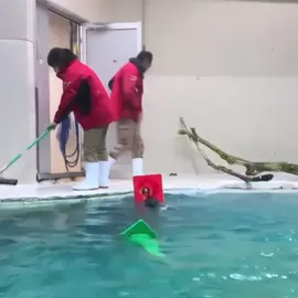 #tiktokviral #tiktoklive #tiktoknews #tiktakdraw #tiktak #tiktoklive #tiktokviral #tiktoknews #pubgtürkiye #tiktokindi #ببجي #tik_tok #PUBGMOBILE #tiktokviral @LOVE ™️ @LOVE ™️ @LOVE ™️ 