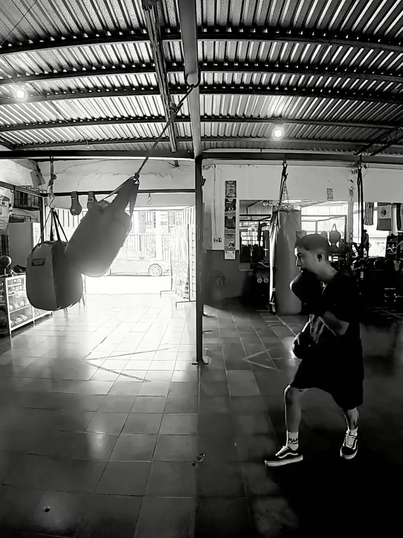 BAILESITO PERRON #GYM #boxing🥊 #boxing #DJI #entretenimiento #gymrat #salvadoreños #elsalvador