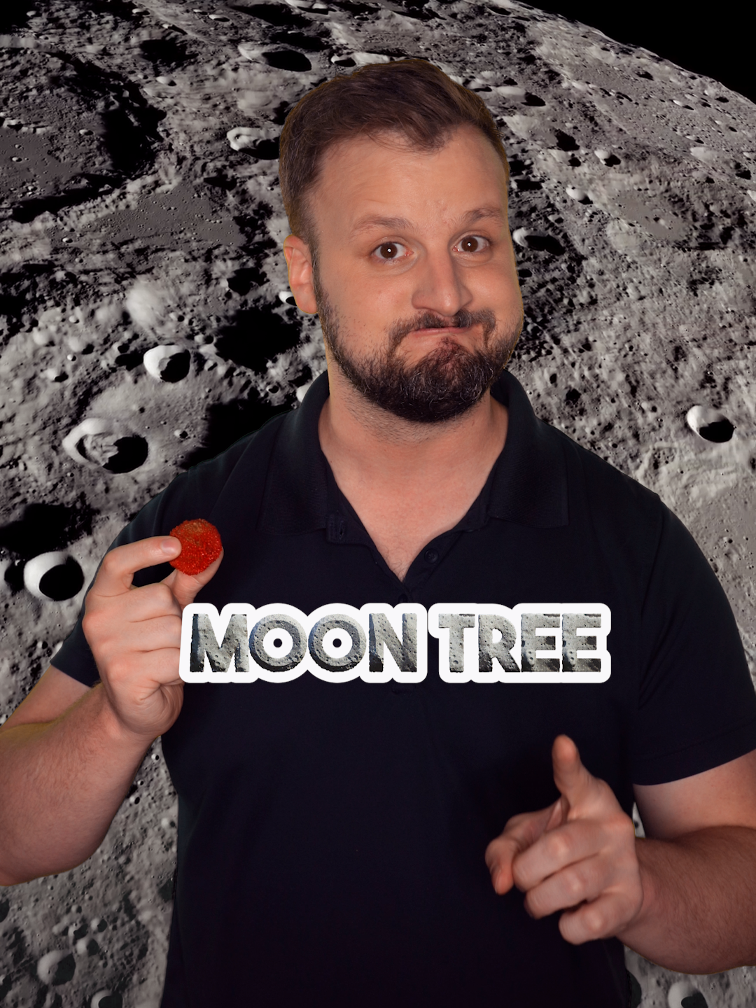 This Tree Has Been To The Moon #space #trees #historytok #funfacts  Around the world, 500 moon trees from the Apollo 14 mission have been planted! These trees came from seeds that orbited around the moon in a canister brought along by Command Module Captain Stuart Roosa.  You should search to see if there is one near you that is still alive!