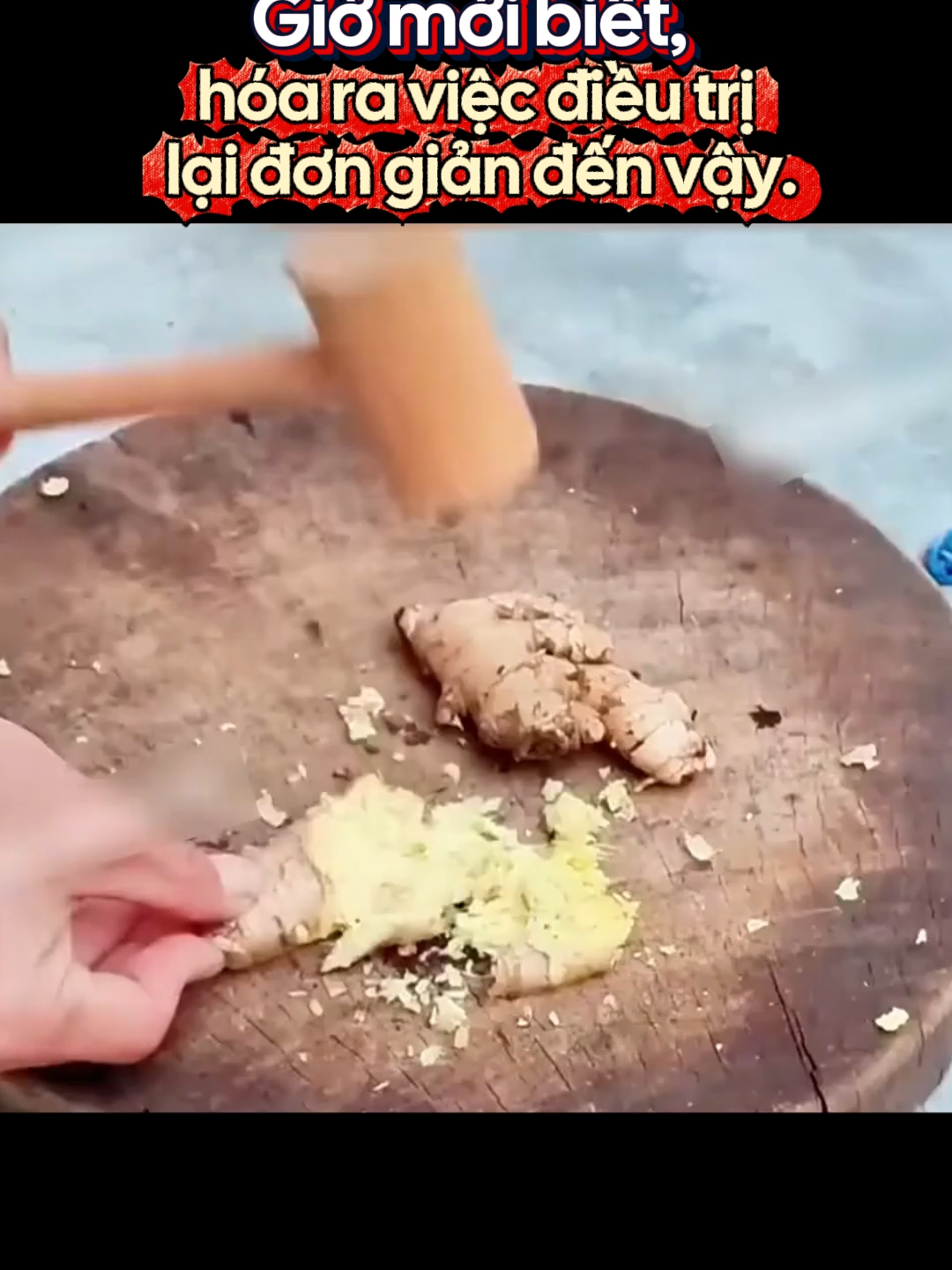 Hãy thử sản phẩm này để giúp bạn t209