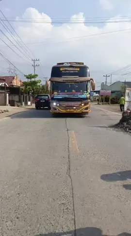 #foryoupage #xyzabc #busmania #tiktokpelitfyp 