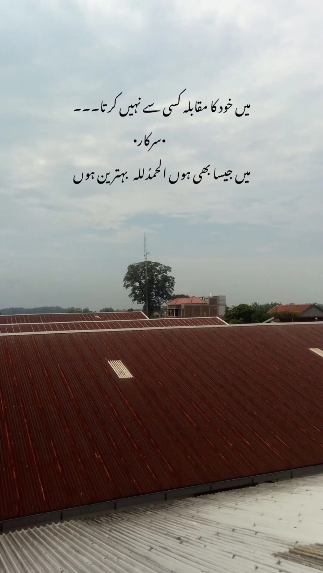 Absolutely ✅🌚 #foryou #foryoupage #sarkarmureed5 ...