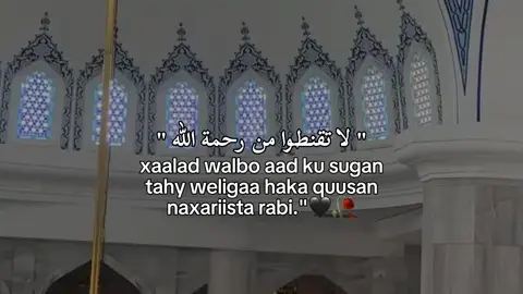 5mar copy link ii taabo #CapCut #fypviralシ #viral #fouryou #fouryoupage 