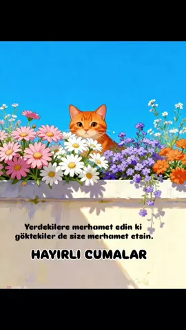 #sabah #fyppppppppppppppppppppppp #keşfet #cuma #hayırlıcumalar🌹🌺🌺🌷💖 