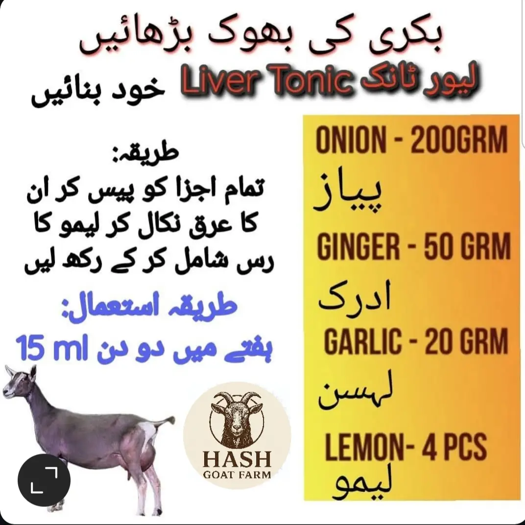 #farmfresh#farmfun #goatfarming #goatfarmingtips #goatlovers 