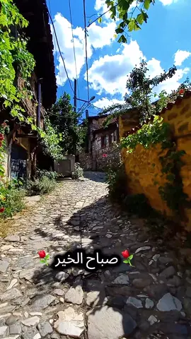 صباحكم فيروزي  #صباح_الخير #صباحكم_أحلى_صباح #فيروز #فيروزيات_الصباح #اغاني_الزمن_الجميل 