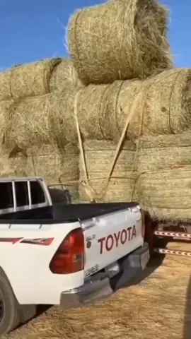#samaygoat 