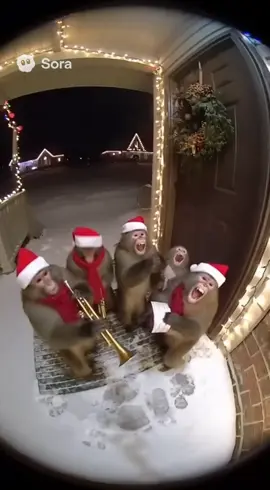 #foryoupage #monkeys #ai #funny #christmas just a little something for our festive spirits