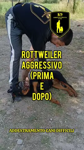 Qui vedete il risultato di un lavoro serio e progressivo: nella prima parte faccio una valutazione approfondita — il rottweiler mostrava atteggiamenti aggressivi e reattività evidenti, non era un comportamento da sottovalutare. da quella base di osservazione siamo partiti: gestione sicura, protocolli di desensibilizzazione e controllo delle risposte, manipolazione graduale e sempre con rispetto per il cane. nella seconda parte vedete il cambiamento: il cane è disteso, rilassato e manipolabile — non perché abbia perso la sua personalità, ma perché ha imparato a fidarsi e a regolare le sue emozioni. la riabilitazione è possibile quando ci sono metodo, pazienza e priorità alla sicurezza.  👉 lavorare sull’aggressività non è “domare”, è ricostruire fiducia.  #riabilitazionecane #caneaggressivo #addestramentocani #rottweiler #rottweileritalia 