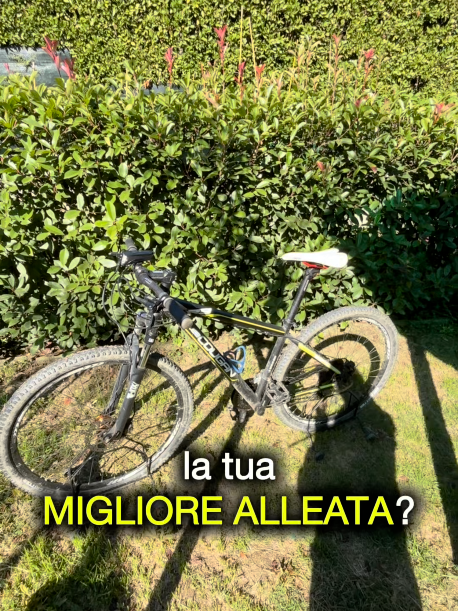 Se sei un runner… dovresti utilizzare la bici 🚴‍♂️ Il cross training con la bici è una delle strategie più sottovalutate dai runner amatori. Ti permette di: ✅ lavorare sul sistema cardiovascolare senza impatto sulle articolazioni, ✅ aumentare il volume settimanale senza rischiare overtraining, ✅ sviluppare forza e resistenza utili anche nella corsa. Il risultato? Meno infortuni, più continuità, più qualità nei tuoi allenamenti di corsa. Chi pensa che la bici sia “tempo perso” in realtà sta perdendo un’occasione per diventare un runner migliore. 📌 Salva questo reel e inizia a considerare la bici come parte del tuo percorso da runner. 👉 Segui @mirko.levelup per altri consigli pratici che ti aiutano a correre meglio, senza farti male e senza sprecare tempo. #corsa #correre #Running #marathon  Utilizzo della Bicicletta per il Runner Cross-Training per il Runner