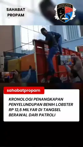 Polres Tangerang Selatan (Tangsel) berhasil membongkar sindikat penyelundupan benih bening lobster (BBL) dengan nilai fantastis mencapai Rp12,5 miliar. Kasus ini terungkap berawal dari kegiatan patroli malam oleh Polsek Curug, Kabupaten Tangerang, yang menemukan aktivitas mencurigakan di sebuah truk terparkir. Dari hasil penggerebekan, petugas menemukan ribuan benih lobster siap selundup yang rencananya akan dikirim ke luar negeri. #BreakingNews #PolresTangsel #LobsterIllegal #Penyelundupan #sahabatpropam 