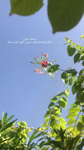 #باسم_الكربلائي_رادود_ما_له_مثيل #يالله_ارحمنا_برحمتك_ياارحم_الراحمين #تصميم_فيديوهات🎶🎤🎬 #يارب_فوضت_امري_اليك #اكسبلور 