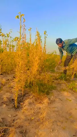 #tharparkar02 #foryou 