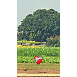 #پنڈاں_والے #سوہناپنجاب❤🌾 #unfreezemyacount #پنجابی @TikTok @TiktokPakistanOfficial 