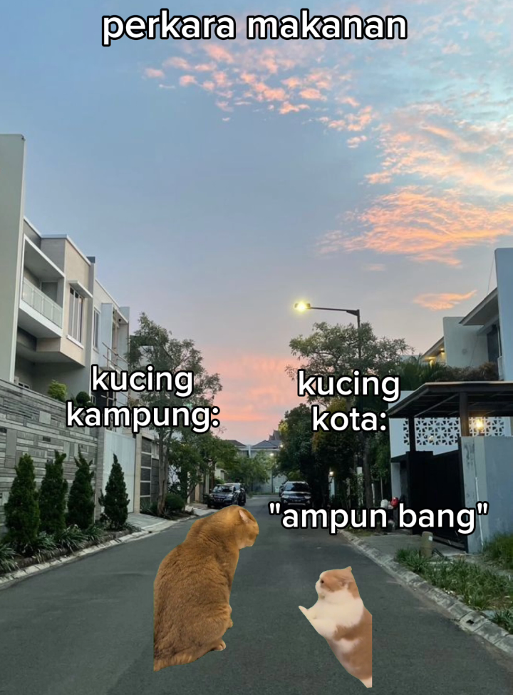 perkara snack/tikus 😭 #memecat #kucing #kucinglucu #berantem #fyp 