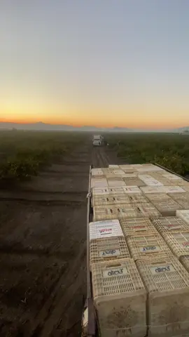 ❤️#m 👑❤️👑