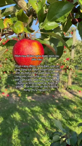 #tinhyeu #couple #happy #xuhuong 