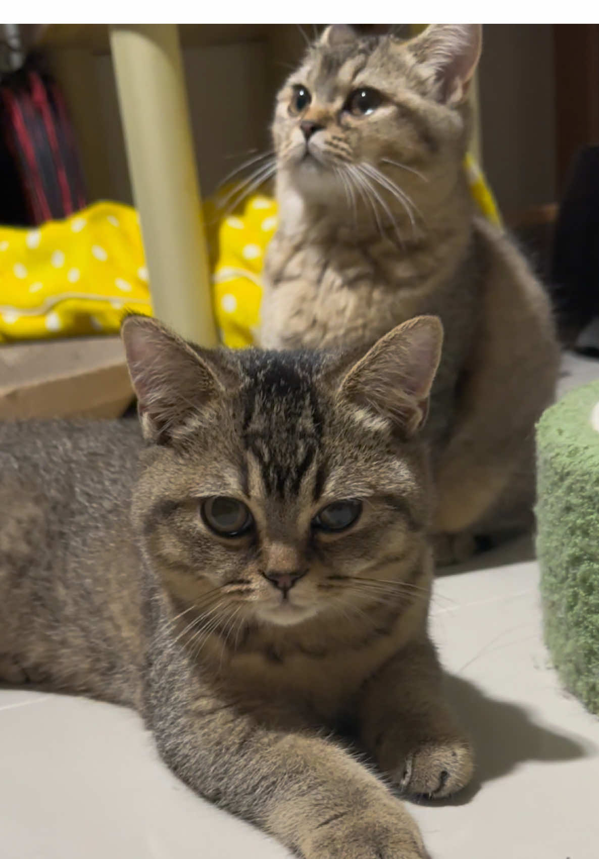 5bulan gak kerasa🤣