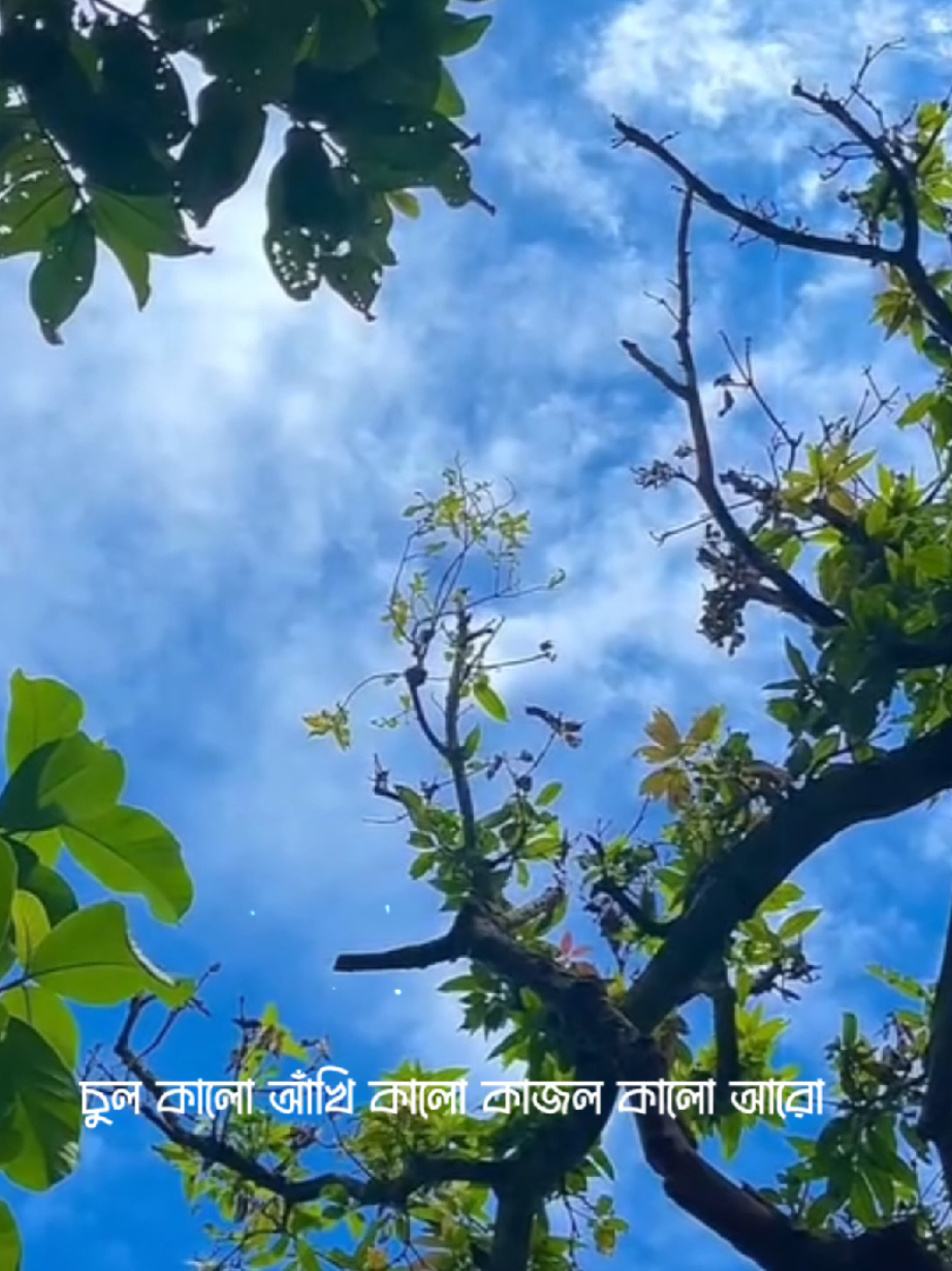 চুল কালো আঁখি কালো কাজল কালো আরো...#feel #lyrics #foryou #nayeem_ahmed_90 #official 