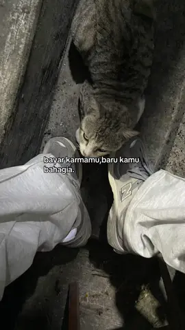 #promoseruweekend #storysad #fyp #4u 