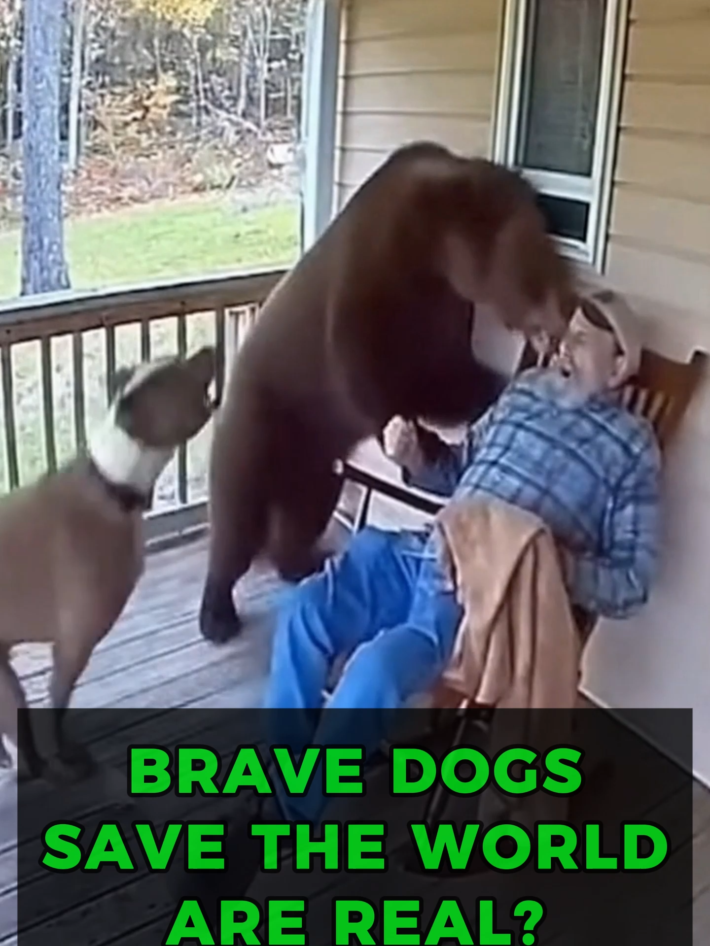 Brave Dogs saved the world are Real?