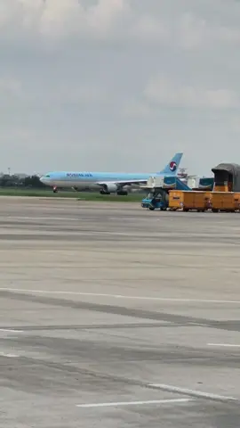 Thời gian sẽ chữa lành mọi vết thương  Như ai kia đã từng nói  #Yeumaybay  #vietnamairlines  #TikTokAwardsVN2025 